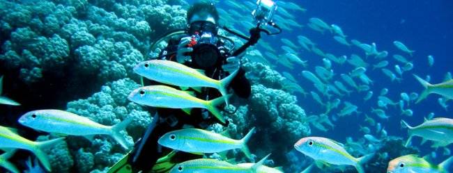 Adventures on the water: diving and snorkelling in Koh Krabi