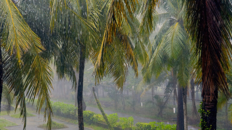 Rains on Pangan: a great atmosphere and natural renewal