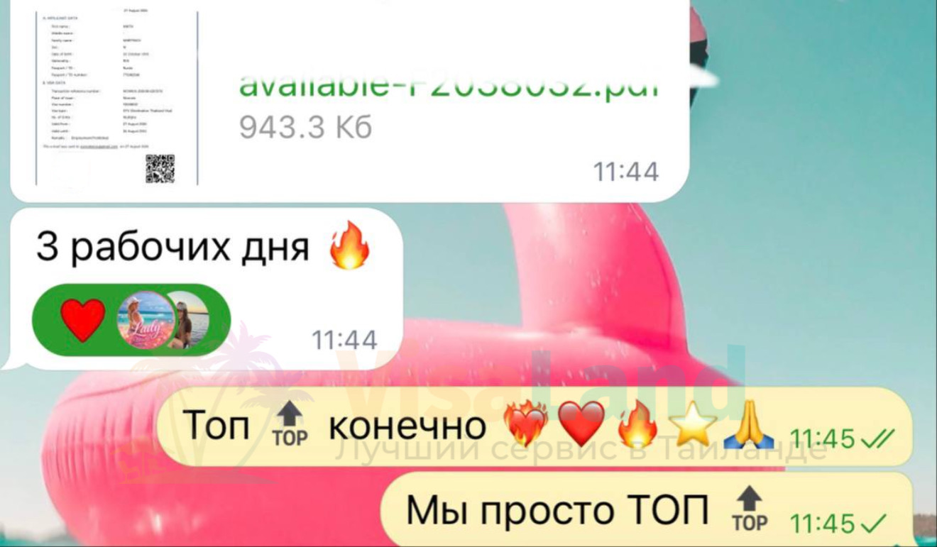 Фотоотзыв 95
