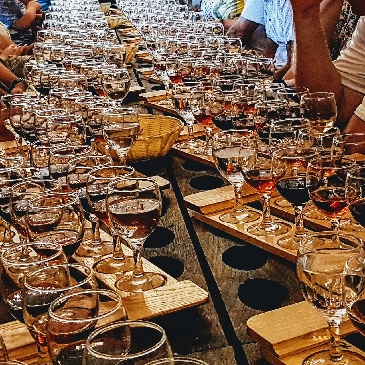 Wines arranged for a tasting